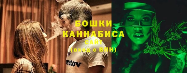 амф Дмитриев